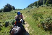 Riding horses in the French Pyrenees