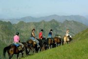 Horse trekking views