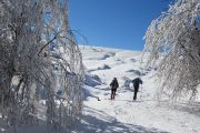 Snowshoeing on holiday in the French Pyrenees