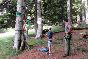 Tree climbing family adventures