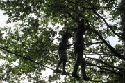 Balancing on the slackline tree climbing