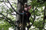 Tree climbing in the Pyrenees