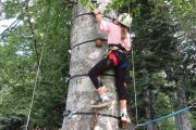 Testing nerve tree climbing