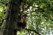 Having fun Pyrenees tree climbing