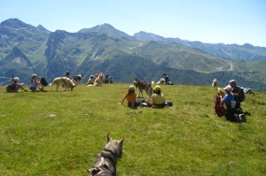 Hiking with huskies 