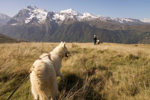 Hiking with huskies