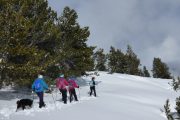 Snowshoeing in perfect conditions