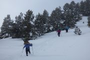 Snowshoeing down a hill
