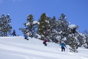 Snowshoeing down a slope