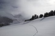 Tracks in the snow in the Spanish Pyrenees