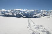 Snowshoe tracks