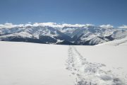 Snowshoe tracks