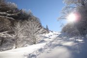 Blue skies on a snowshoeing holiday in the Pyrenees
