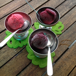 Locally made sorbet