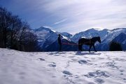 Ski joering on a winter adventure holiday