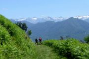 Glorious views hiking the Freedom Trail