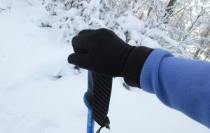 Snowshoeing advice including hand position on poles