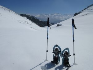 Snowshoes and poles