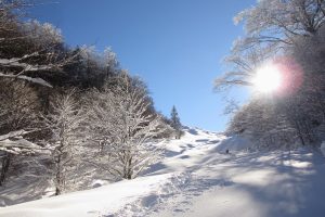 snowshoeing peace and quiet