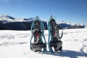 Mountain snowshoes