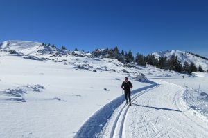 Learning cross country skiing