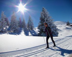 Classic style cross country skiing