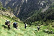 Descending from the mountain bear camp