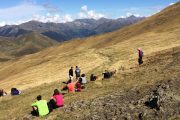 Watching for bears on a Pyrenees wildlife holiday