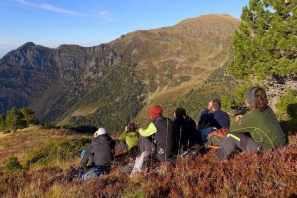 watching for brown bears in the Pyrenees