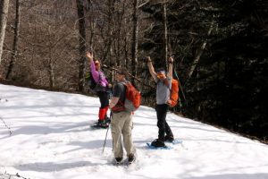 Unforgettable moment snowshoeing in Pyrenees