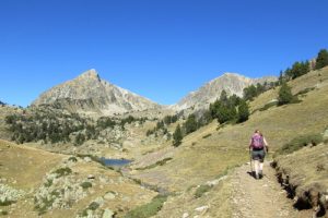 Unforgettable moments hiking with Pam