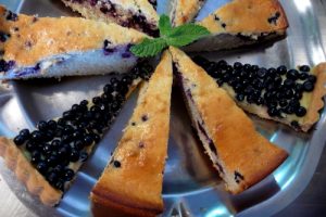 Bilberry tart sweet Pyrenees gastronomy
