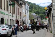 Horse riders in Castillon on transhumance trek