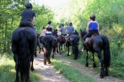 Horse trekking on Merens horses in the Pyrenees