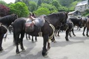 Merens horse trekking on the Couserans transhumance