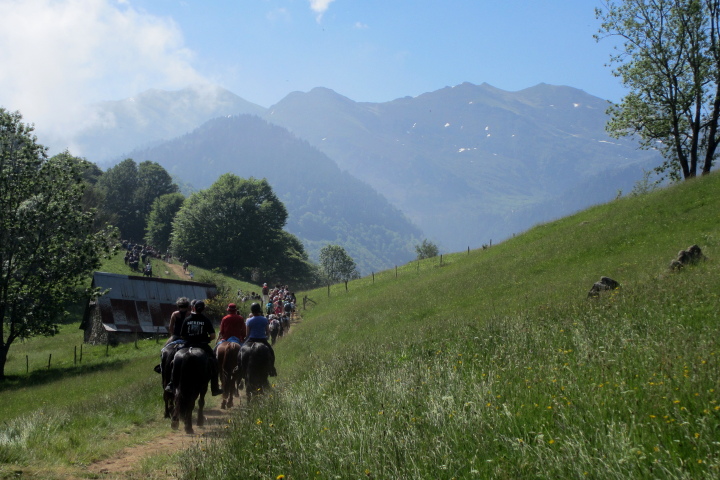 Horse trek on the Ariege Pyrenees Transhumance