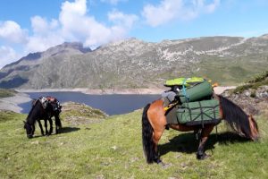 Horses laden for Pyrenees horse trekking holiday