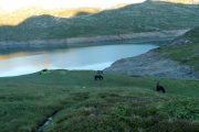 Dusk at horse riding holiday campsite