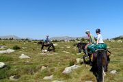 Taking a break on French horse riding holiday
