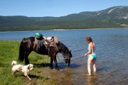 A refreshing dip on horse riding holiday