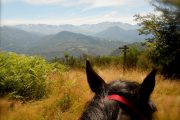 Views to the high mountains on day 1 of horse riding holiday