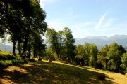 Tranquil riding in unspoilt Pyrenees landscape