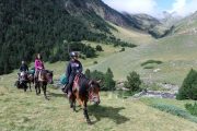 Unspoilt and authentic landscape horse riding in France