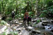 Shady river crossing on Pyrenees horse riding holiday