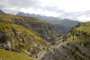 Steep sides of Anisclo is a haven for bearded vultures