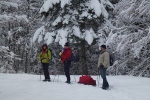 Pulk experience in the Pyrenees