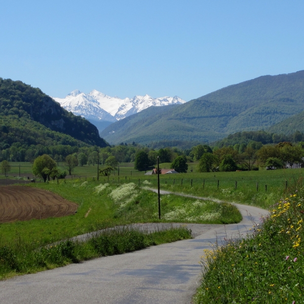 Quiet country lanes and beautiful scenery cycle touring in the Pyrenees