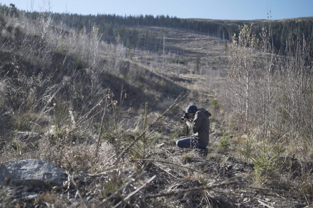 Photographing saplings for carbon offset accountability