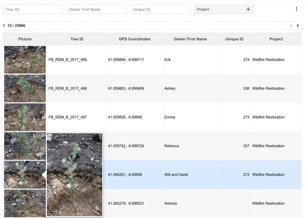 An open database of trees planted with their location