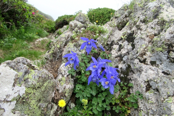 The beauty of the seasons in the Pyrenees